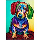  DIY 5D Diamond Art Painting by Number Kits for Adults, Dachshund Sausage Dog 