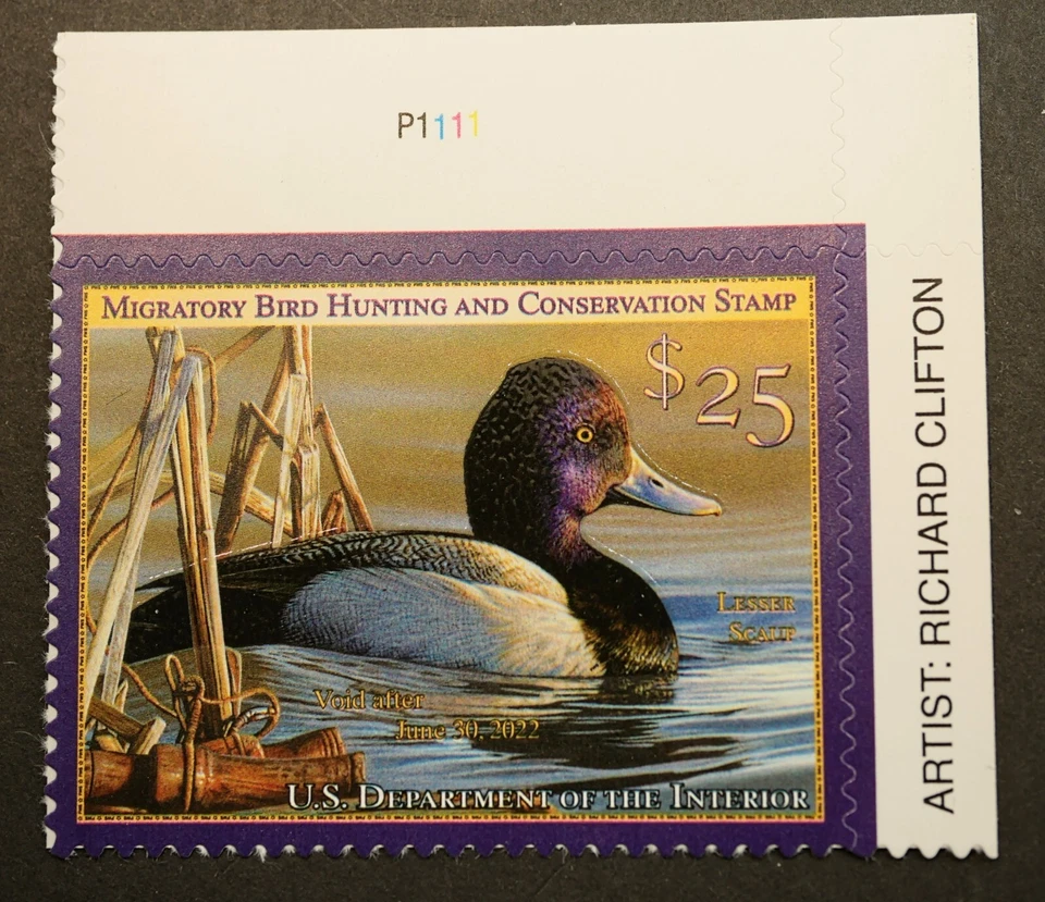RW88 Federal Duck Hunting Stamp w/ block #, MNH, OG, 2021 stamps collectibles - Image 1 of 2