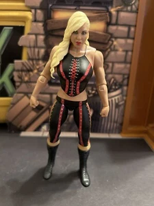 2018 WWF WWE Mattel Dana Brooke Diva Basic Wrestling Figure Series 81 TNA Ash - Picture 1 of 2