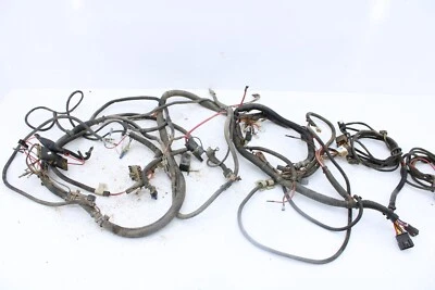 Arnés de cableado principal completo Polaris Ranger 500 2003 2461197 150P Foto 1 de 4