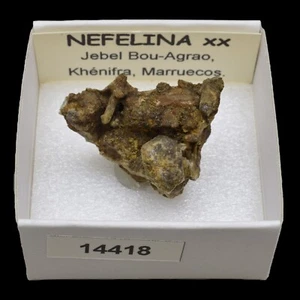 NEFELINA (Jebel Bou-Agrao, Khenifra, Marruecos) #14418 / Nepheline - Bild 1 von 1