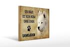 Holzschild Spruch 40x30 cm Samojeden Hund ohne kein Heim Deko Schild