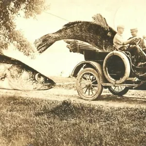 c.1914 Esagerazione Walleye Aspiratore Little Wolf River Manawa Wisconsin RPPC - Foto 1 di 3