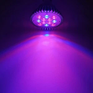 36W Blue 450nm + Red 660nm PAR38 LED Lamp Spot Light Bulb Grow Light Plant - Picture 1 of 8