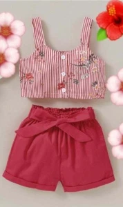 2 PCS BABY -TODDLER GIRL PRETTY FLORAL DECOR STRIPED TOP AND SOLID SHORTS SET - Picture 1 of 9