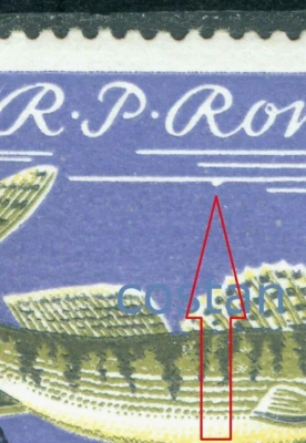 1960 Fish,Zander/Sander/Lucioperca lucioperca,Romania,Mi.1928,VFU,ERROR/6 - Image 1 of 2