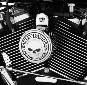 Harley Davidson Willie G Skull Horn Cover 61300622 - Picture 1 of 1