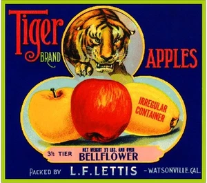 Watsonville California Tiger Apple Fruit Crate Label Art Print - Picture 1 of 1