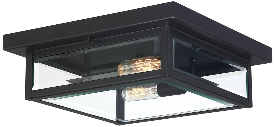 Quoizel Westover 12" Wide Earth Black 2-Light Ceiling Light - Image 1 of 1