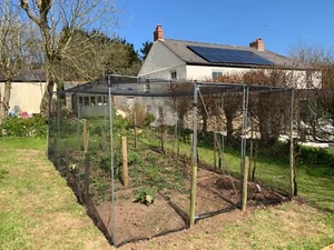 Fruit Cage Vegetable Garden Walk In Anti Bird 3.5mx 3.5m Complete Frame & Net - Picture 1 of 8