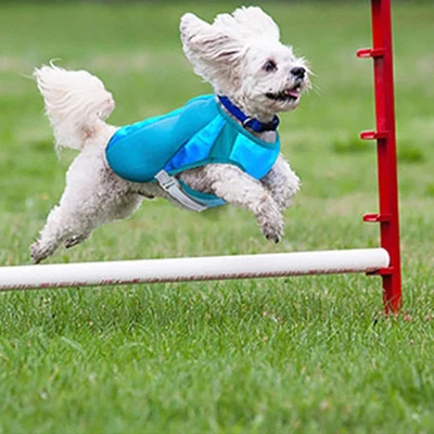 Abrigos de refrigeración caninos para mascotas de radiocontrol Foto 1 de 2