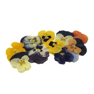 Edible Flowers Pressed Violas Cake Topper Decorations - Picture 1 of 4