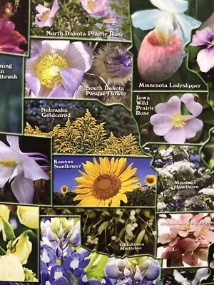 TDC PUZZLES UNITED STATES "OFFICIAL FLOWERS OF THE STATES" 1,000-PIECE PUZZLE - Image 1 of 4
