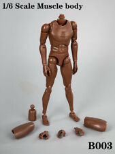 ZYtoys 1/6 Scale Muscular Male Figure Body Dark Skin For 12" Falcon Head Sculpt