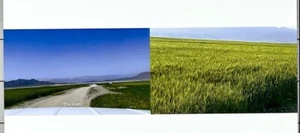 Sa'dia Rehman - the river runs slow... Art Announcement Card 2024 - Pakistan - Picture 1 of 6