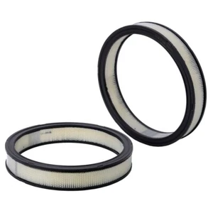 42070 WIX Air Filter for Chevy Dodge Charger Cadillac Eldorado Coronet Corvette - Picture 1 of 1