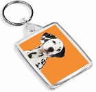 1 X Orange Dalmatian Dog Animal - Keying - Ip02 - Mum Dad Kids Gift#12935