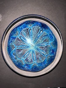 Robert Eickholt 1993 Signed 2 lbs 11.4oz ” Glass Paperweight Sea Anemone - Picture 1 of 7