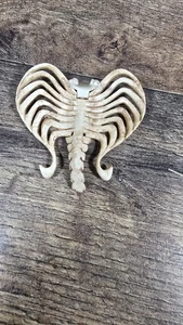 Monster High CA Cupid Sweet 1600 Bone Wings with Neck Clip Piece - Picture 1 of 7