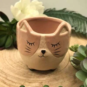 Bomboniera Battesimo Comunione Gatto Portapiantina Rosa in Ceramica - AD Emoz... - Foto 1 di 1