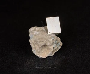 Pyrite Cube in Matrix La Rioja Spain 6428 - Picture 1 of 2
