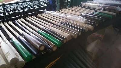 ¡DISTRIBUCIÓN PROFESIONAL DE EQUIPO DE BÉISBOL A LA VENTA BATES, PELOTAS, GUANTES Y MÁS! Foto 1 de 4