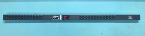 Raritan PXE-1473V Rack Power Distribution PDU 24-Outlet 120v, 15a NEW - Picture 1 of 5
