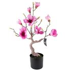 Magnolia Artificial Tree Pink Potted