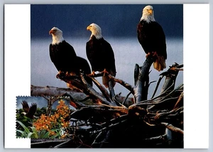 #4099d Southern Florida Wetland Bald Eagle FDC Maxi Card w/Pict Cancel - Picture 1 of 2