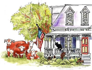 Schwarze Katze und Hereford Rinder zu Hause, Hereford Rinder, schwarze Katze auf Veranda - DS - Bild 1 von 2