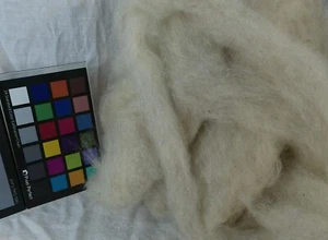 Romney wool roving varigated brown butter spin weave felting fiber arts - Picture 1 of 3