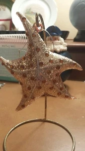 TROPISCHER SEESTERN GLAS WEIHNACHTSSCHMUCK ~ NEU MIT ETIKETT - Bild 1 von 2