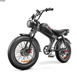 20 Zoll Elektrofahrrad 2000W 48V 23AH Mountainbike Geländefahrrad Dirt E-Bike - Bild 1 von 17