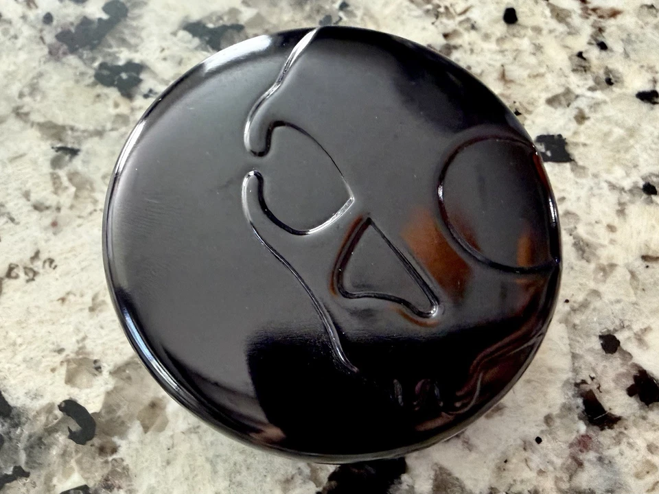 Estuche de Transporte Original OEM Skullcandy Titan Metal Negro ~ ¡NUEVO! Foto 1 de 1