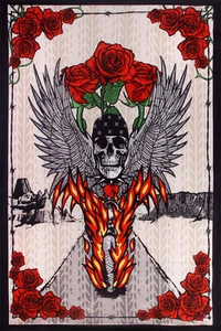 3D TAPESTRY-FIRE BIKER-SKULL-ROSES-WINGS-Psychedelic-w/GLASSES 60X90 Grateful - Picture 1 of 3