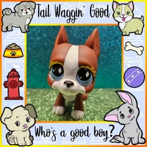 Littlest Pet Shop LPS Authentic # 589 Brown & White Diamond Eyes Great Dane Dog - Picture 1 of 4