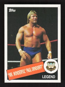 2015 Topps WWE Heritage "Mr. Wonderful" Paul Ordnorff #34
