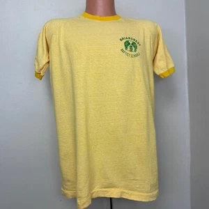 Vtg 1970s Briarcrest Baptist Schools Yellow Stripe T-Shirt 70s Champion Memphis - Picture 1 of 4