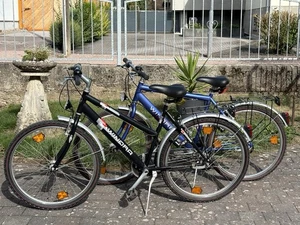 Winora Damen-und Herrenrad Mountainbike - Bild 1 von 15