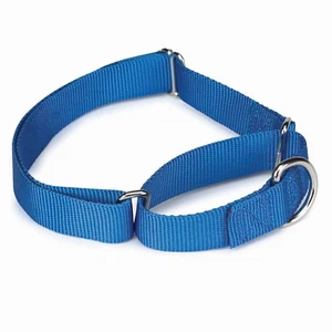 GG Nylon Martingale Collar 10-16In Blu - Picture 1 of 1