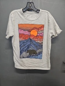 Boys Gap Kids Tshirt Mountain Bear Graphic Short Sleeve Sz M - Picture 1 of 3