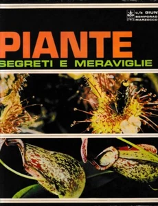 Piante segreti e meraviglie - Foto 1 di 1