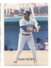 1988 Broder Baseball Stars of '88 - #15 - Sam Horn - Boston Red Sox