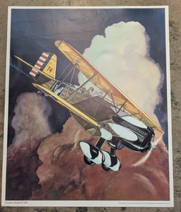 Póster de colección Ray Schmitt Curtiss Hawk P-6C US Army Air Corp 16x20 serie #2 BOA - Imagen 1 de 10