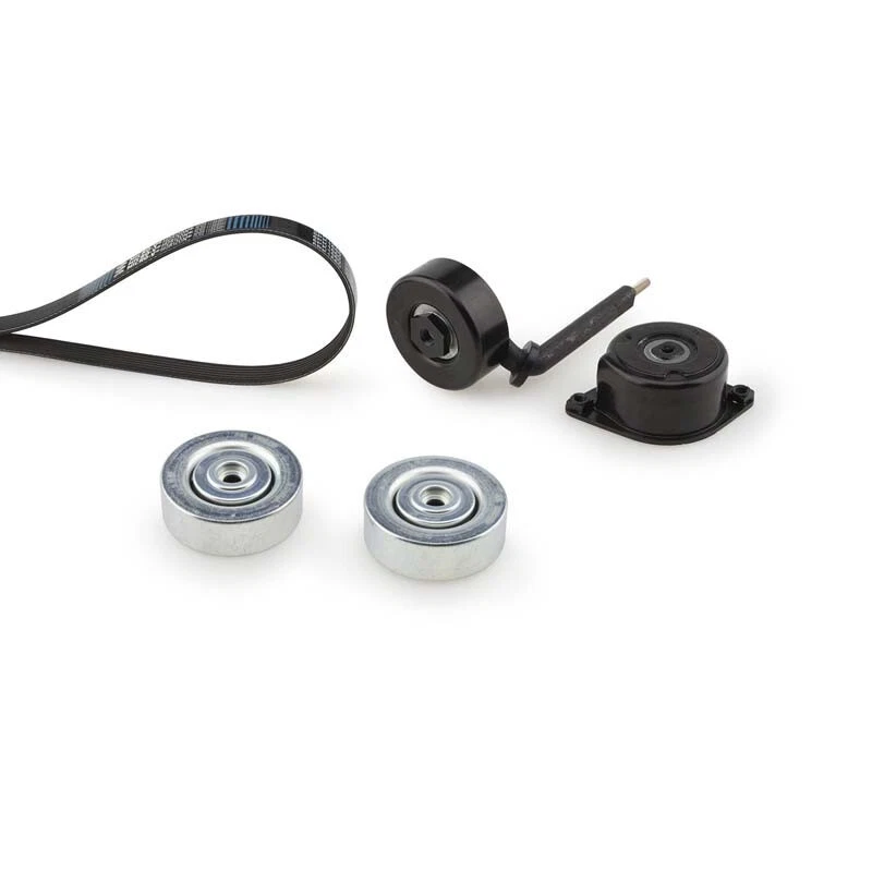 Keilrippenriemensatz für BMW X5 (E53) 3.0 d, Land Rover Range Rover 3(L322) 3.0 - Bild 1 von 2