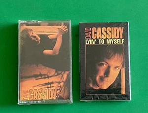 DAVID CASSIDY Self-Titled 1990 Album and Lyin' to Myself cassette Single SEALED - Picture 1 of 2