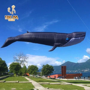 9 km 9 m Ballena Cometa Línea Lavandería Colgante Suave Inflable 30D Ripstop Tela de Nylon - Imagen 1 de 6