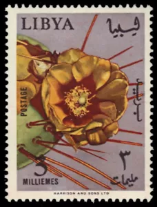 LIBYA 286 - Garden Flowers "Oputina Cactus" (pb24744) - Picture 1 of 1