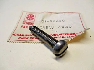 KAWASAKI JS400 JS 400-A3 1976 PALANCA DEL ACELERADOR 6x30 TORNILLO NOS/OEM 214R0630 - Imagen 1 de 2