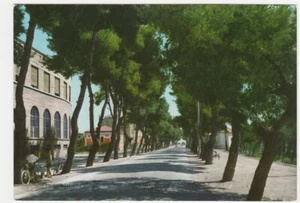 PESCARA - PINETA D'ANNUNZIANA - VIALE LUISA D'ANNUNZIO - VIAGG. -18995- - Picture 1 of 1